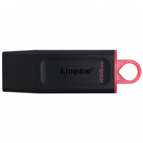 Kingston datatraveler exodia 256gb usb 3.2