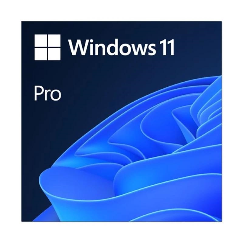 Microsoft Windows 11 Pro 64B  Esd