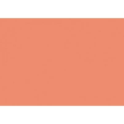 Iris Cartulina 297X420Mm 185Gr Coral -50U-
