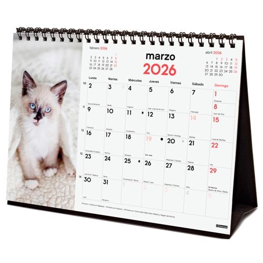 Finocam Calendario De Sobremesa Para Escribir S-210X150Mm Mv Imágenes Gatitos 2026