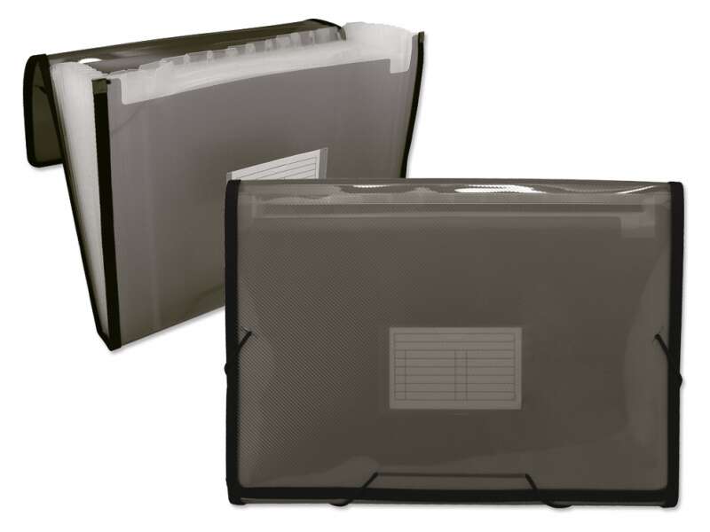 Ingraf Carpeta Frame Fuelle 13 Departamentos Tamaño A4 - Polipropileno Translucido - Gomas Y Solapas - Color Gris