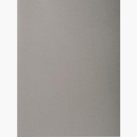Exacompta Subcarpetas A4 Forever Color Gris 220Gr -100U-